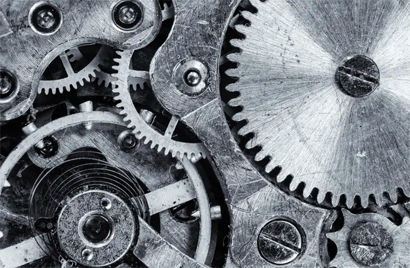 The Anatomical Machine