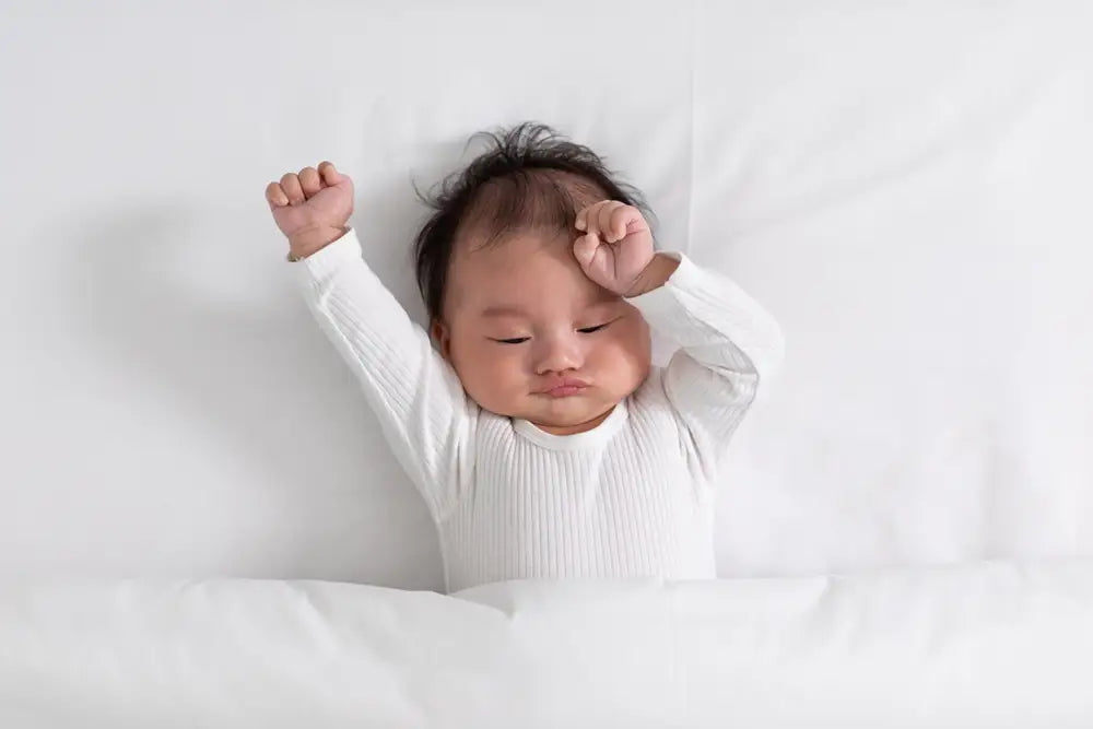 What The Stretch: Pandiculation and Stretching
