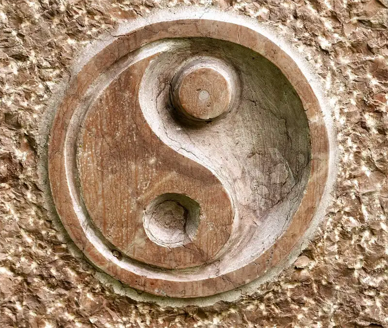 The Science of Yin and Yang