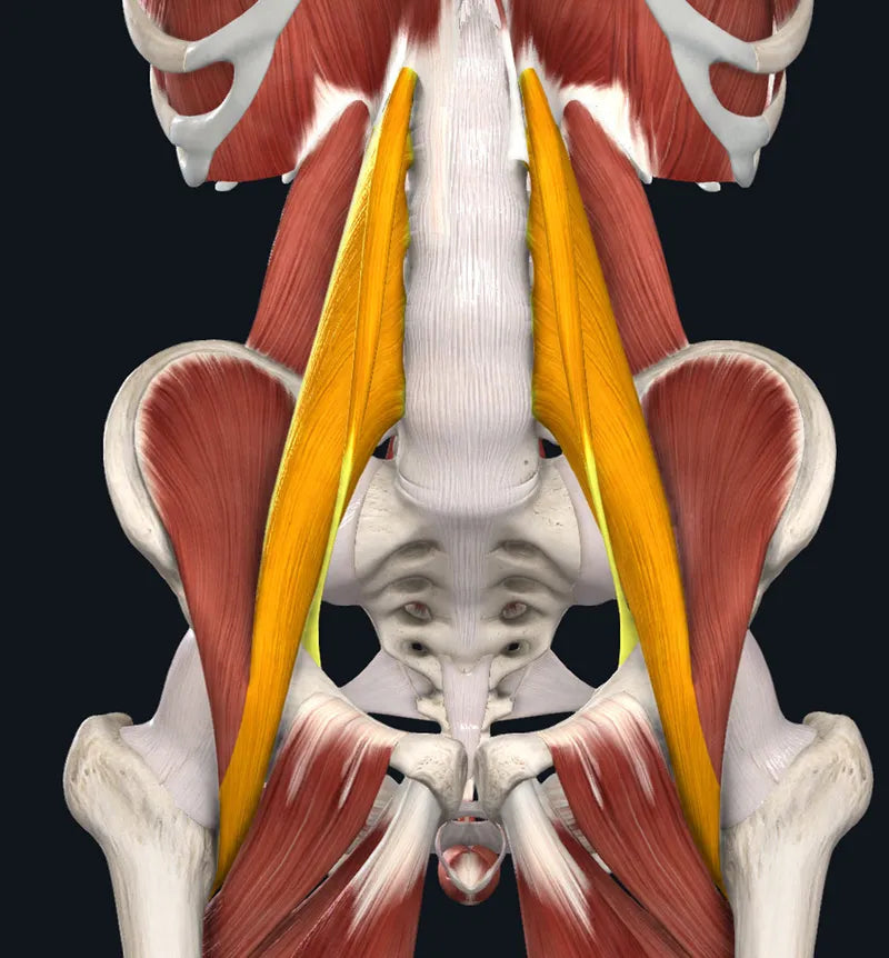 Old Man Psoas