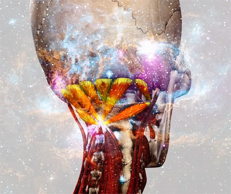 The Cosmic Cloth of the Suboccipitals