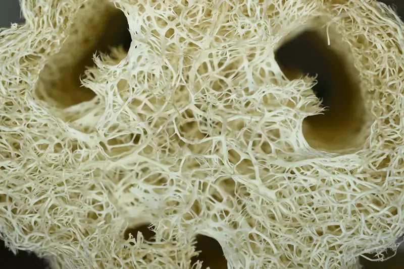 Teeter Totter... Boom!