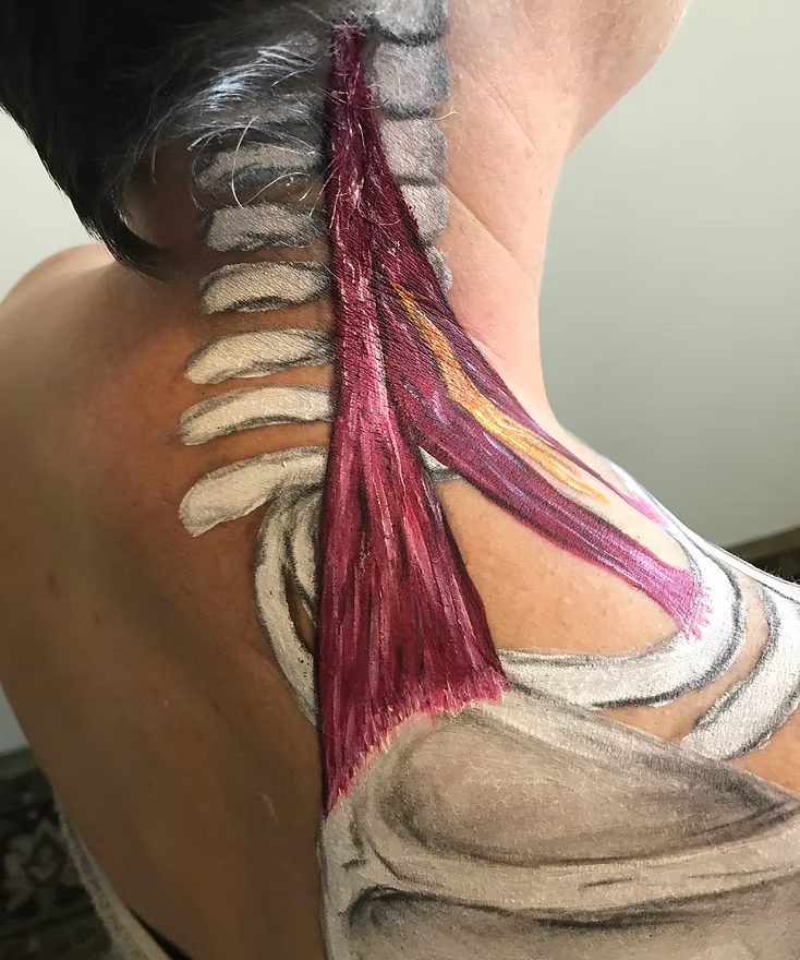 Levator Scapula Massage Tutorial