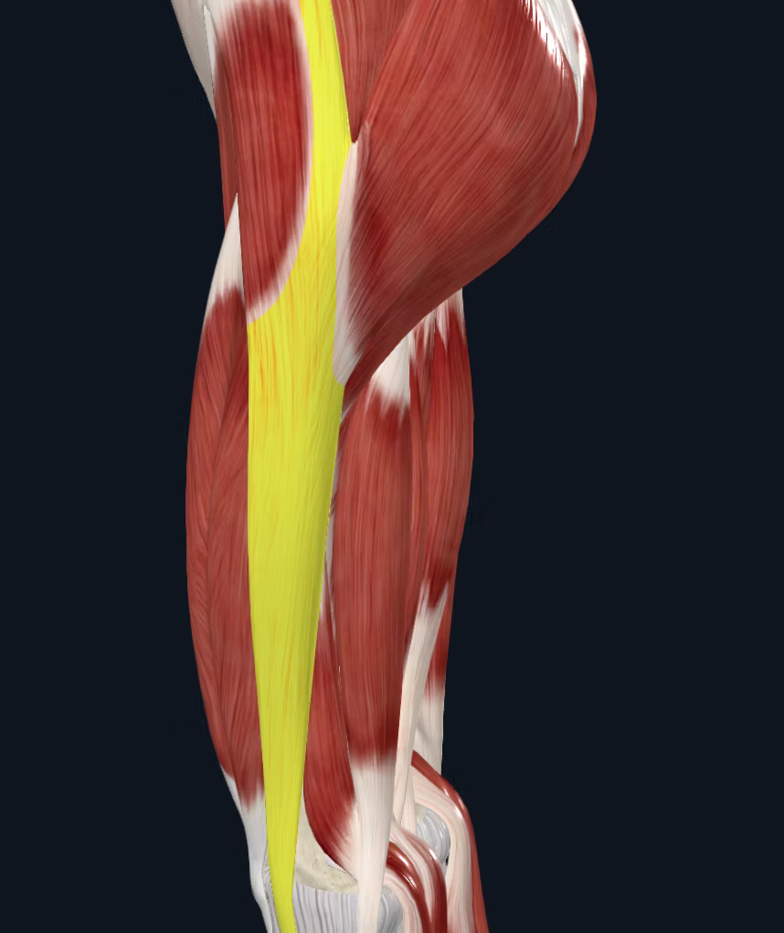 The Iliotibial Tract Massage Tutorial