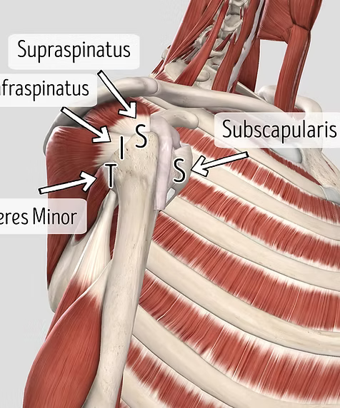 Rotator Cuff Massage Tutorial