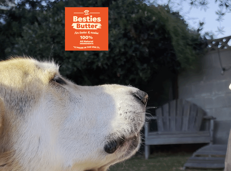 Besties Butter • Paw & Nose Balm for Dogs