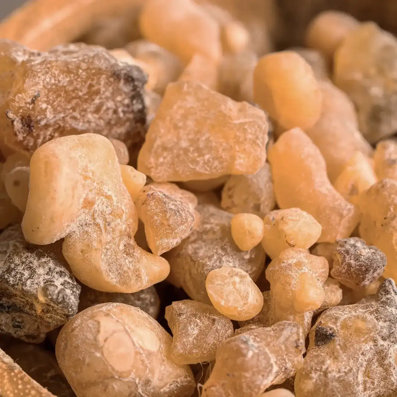 Total Meltdown • The Fault In Our Scars