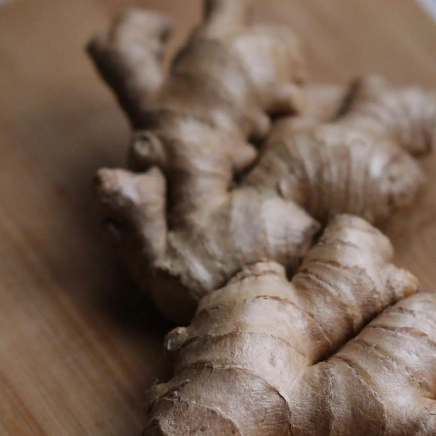 Beyond Oil • Beans & Roots