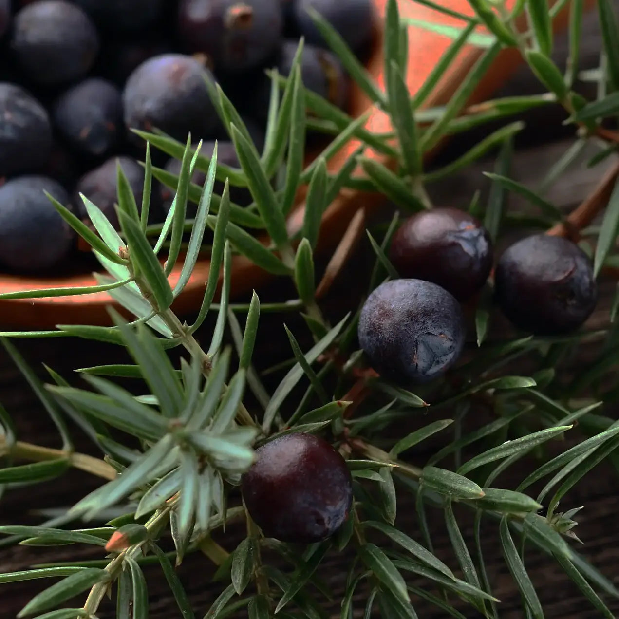 Beyond Oil • Myofascial World Peace