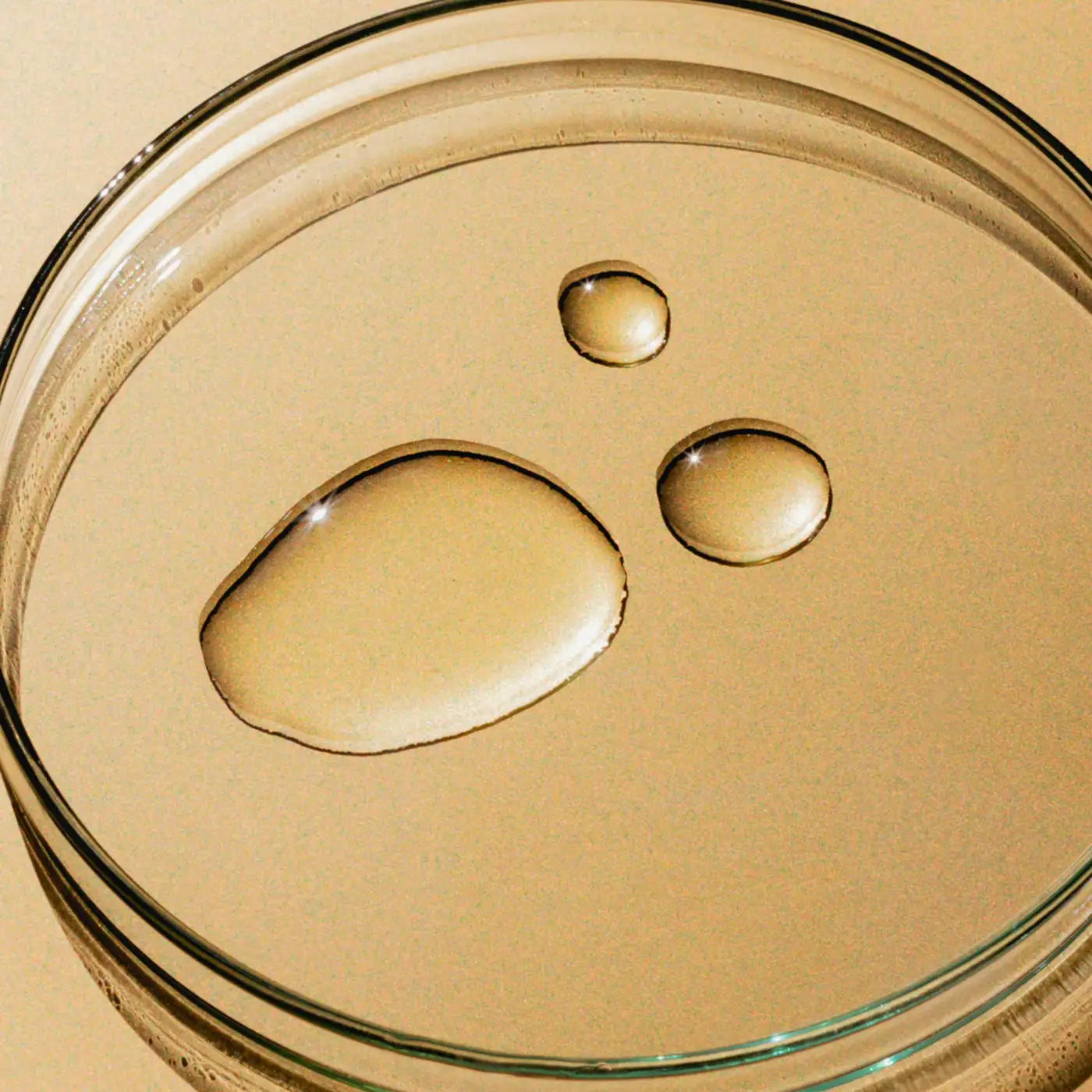 Beyond Oil • Pulp Friction